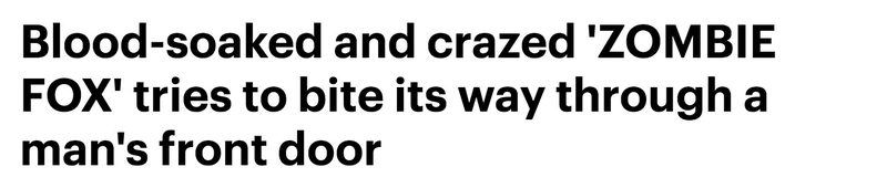 Via Daily Mail